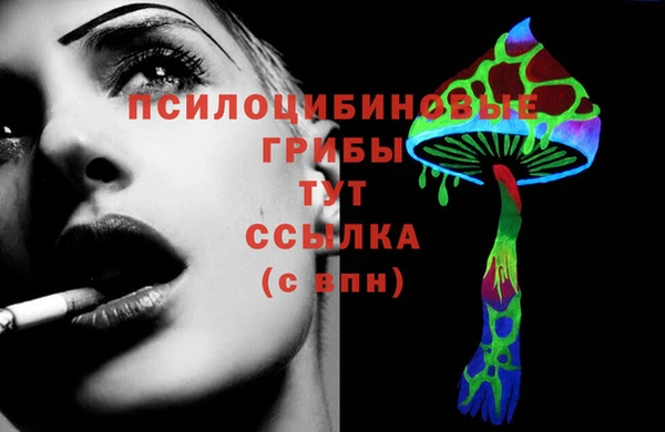 крисы Алексин