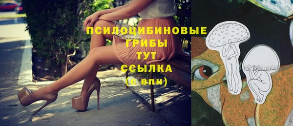 стаф Алзамай