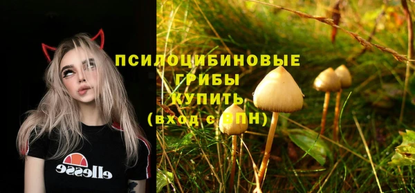 стаф Алзамай