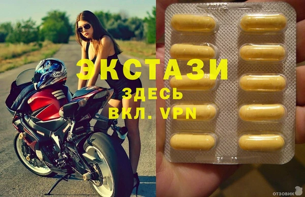 стаф Алзамай