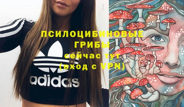 стаф Алзамай