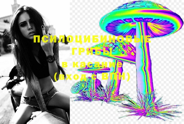 мяу мяу мука Алексеевка