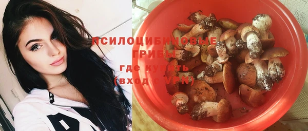 стаф Алзамай