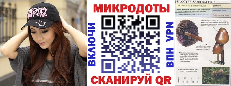 shop как зайти Данков Псилоцибиновые грибы Magic Shrooms blacksprut маркетплейс